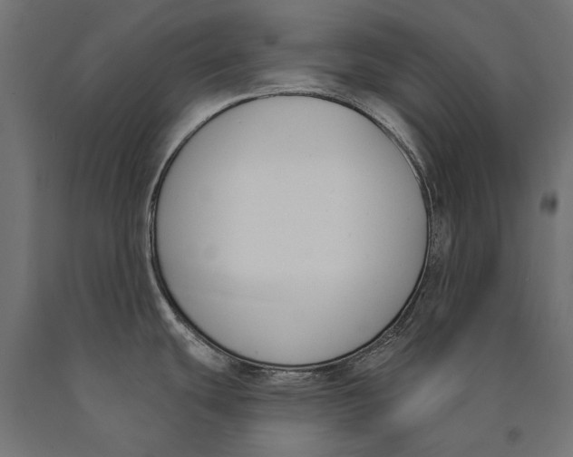 X0000090421439200708031055