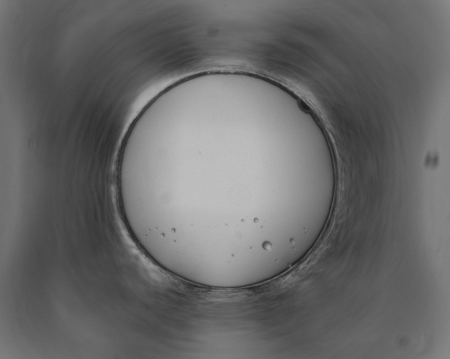 X0000090421440200708031055