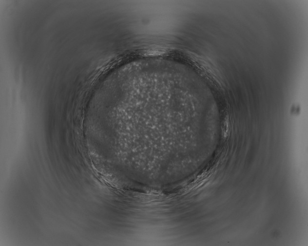 X0000090421441200708031055