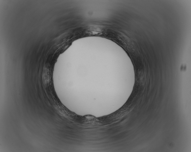 X0000090421442200708031055