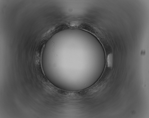 X0000090421443200708031055