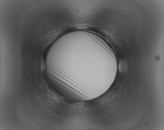 X0000090421444200708031055