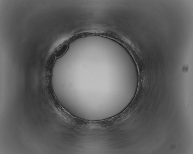 X0000090421448200708031055