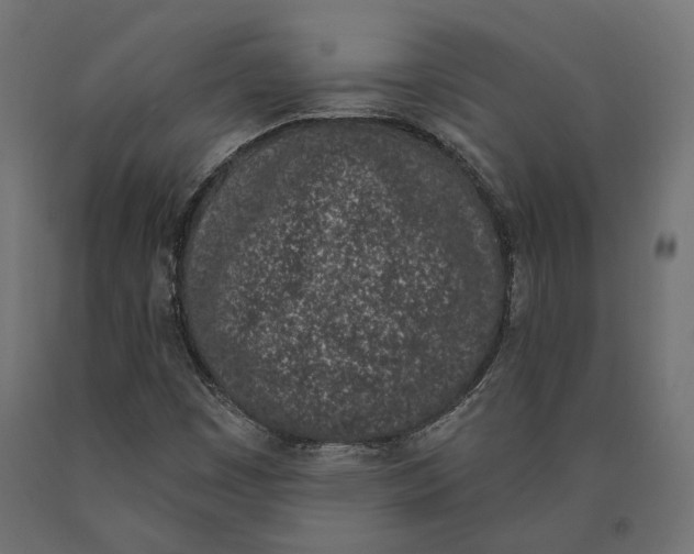 X0000090421449200708031055