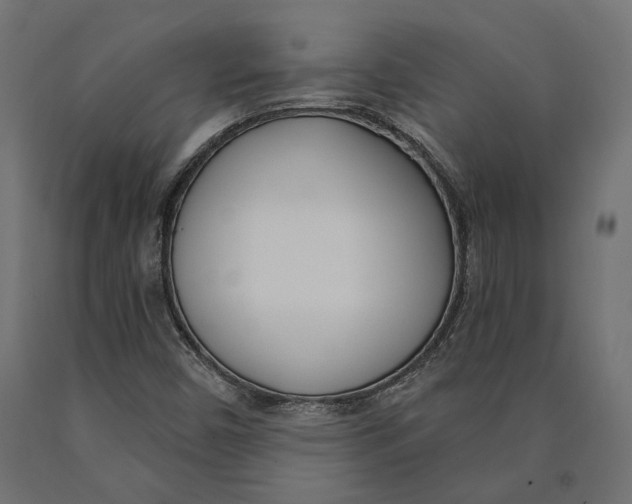 X0000090421450200708031055