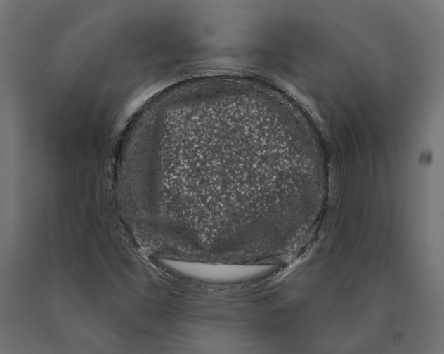 X0000090421453200708031054