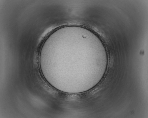 X0000090421454200708031054