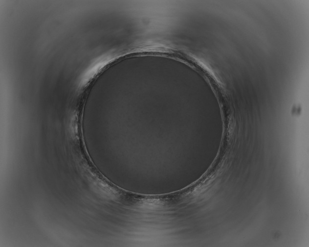 X0000090421455200708031054