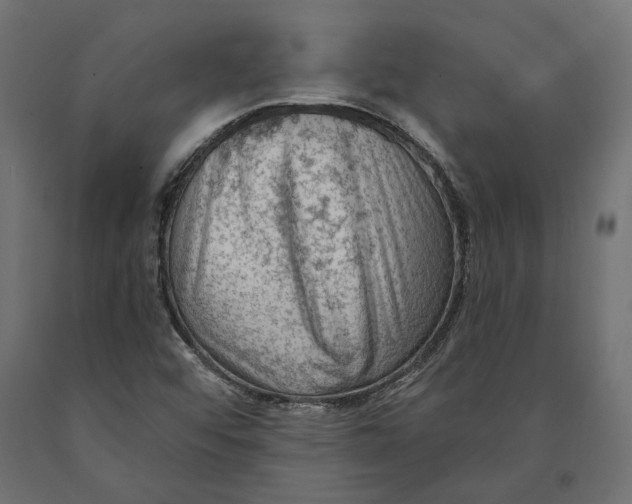 X0000090421456200708031054