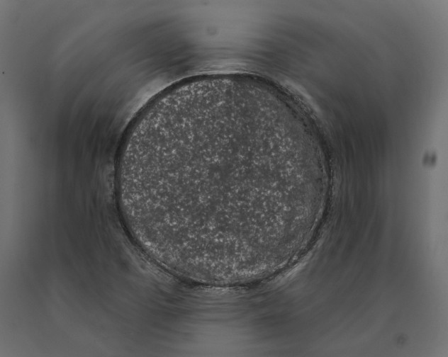 X0000090421457200708031054