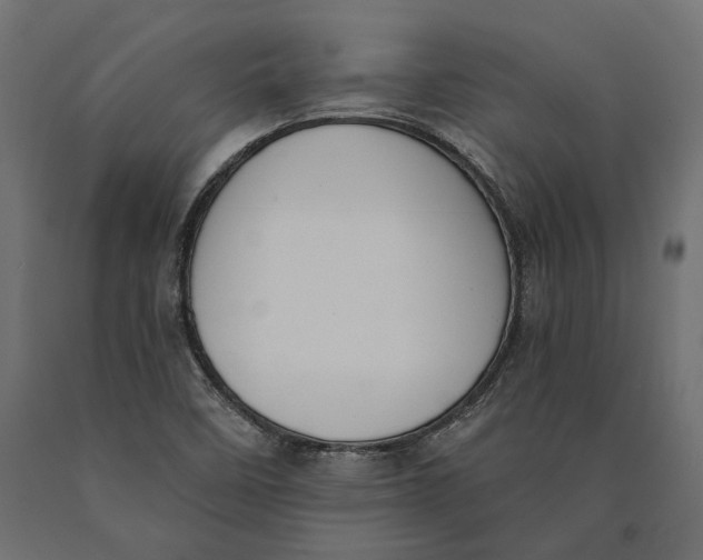 X0000090421458200708031054