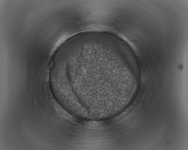 X0000090421459200708031054