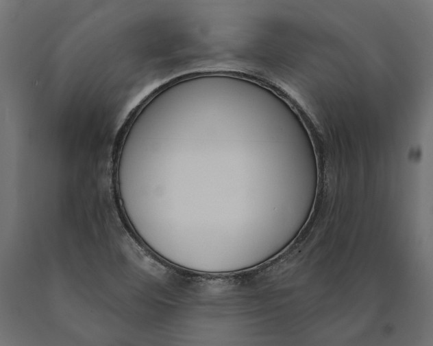 X0000090421460200708031054