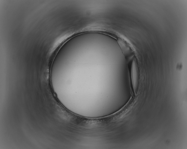 X0000090421461200708031054