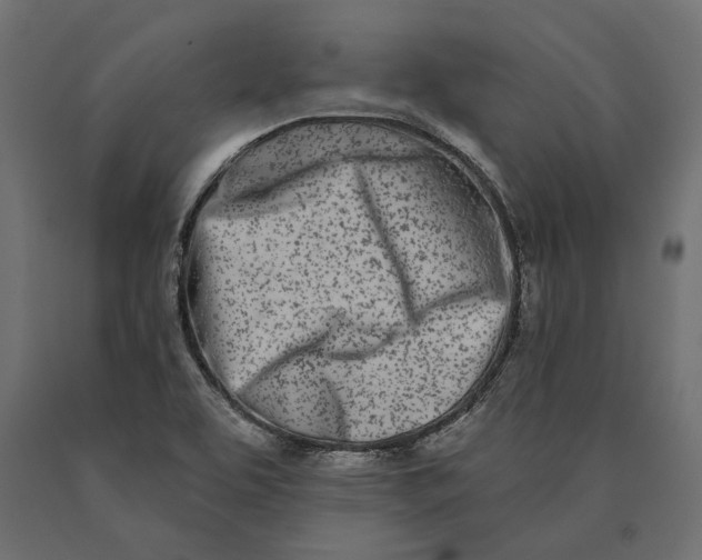 X0000090421463200708031054