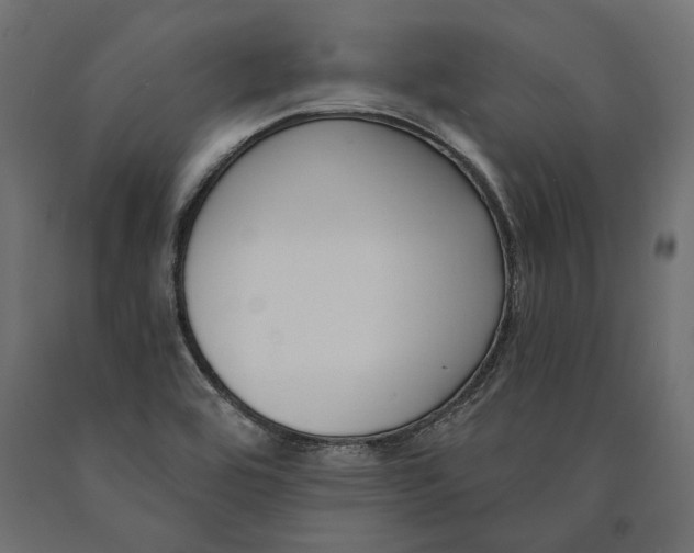 X0000090421464200708031054