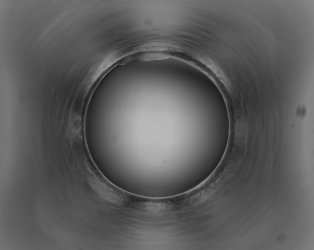 X0000090421465200708031054