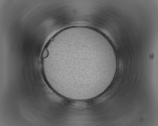 X0000090421466200708031054