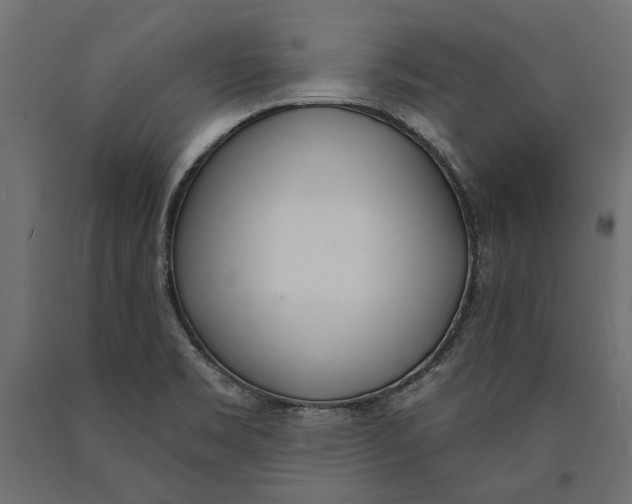 X0000090421469200708031054