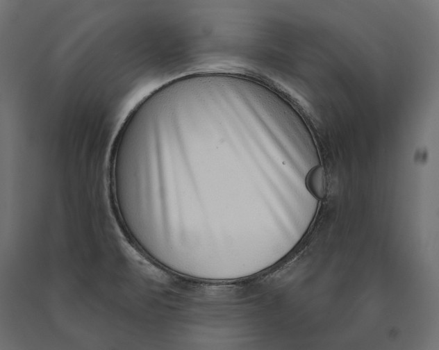 X0000090421471200708031054