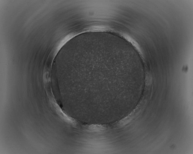 X0000090421473200708031054