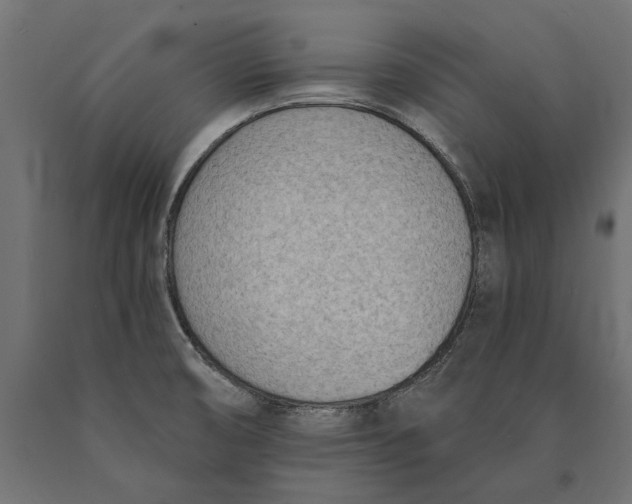 X0000090421474200708031054