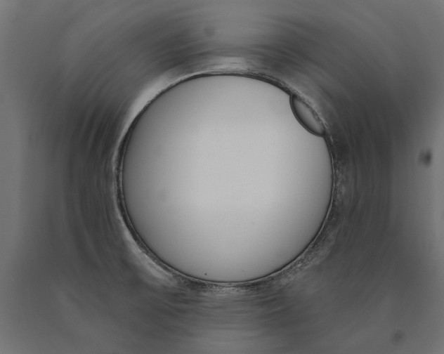 X0000090421475200708031054