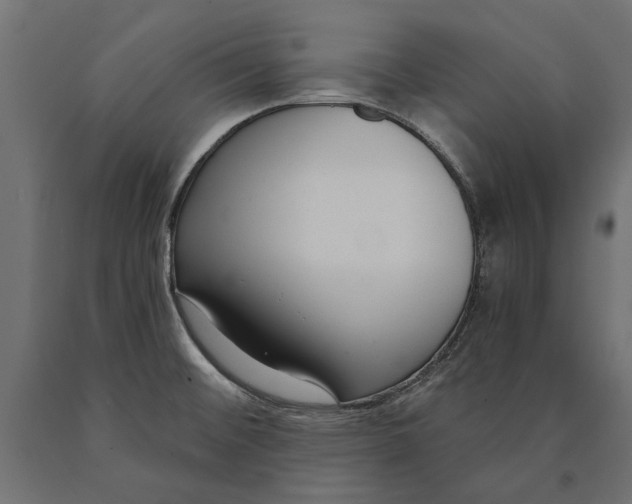 X0000090421476200708031054