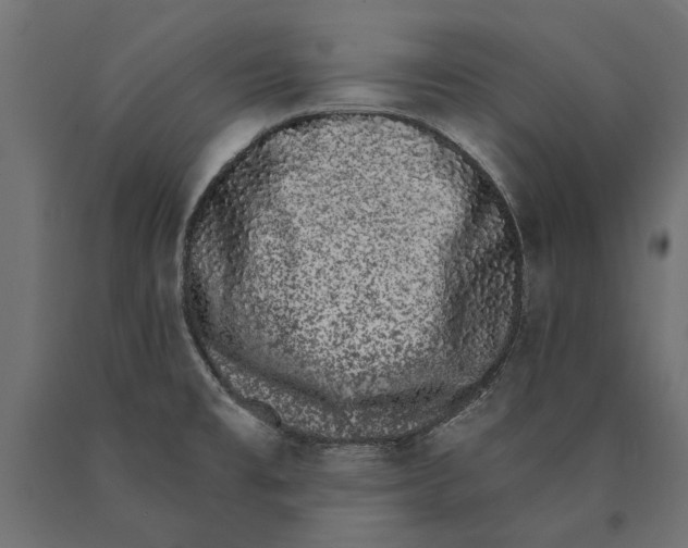 X0000090421477200708031054