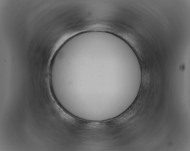 X0000090421478200708031054