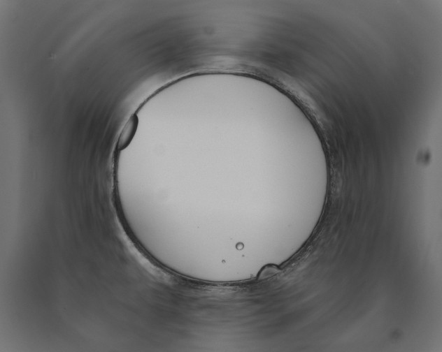 X0000090421479200708031054