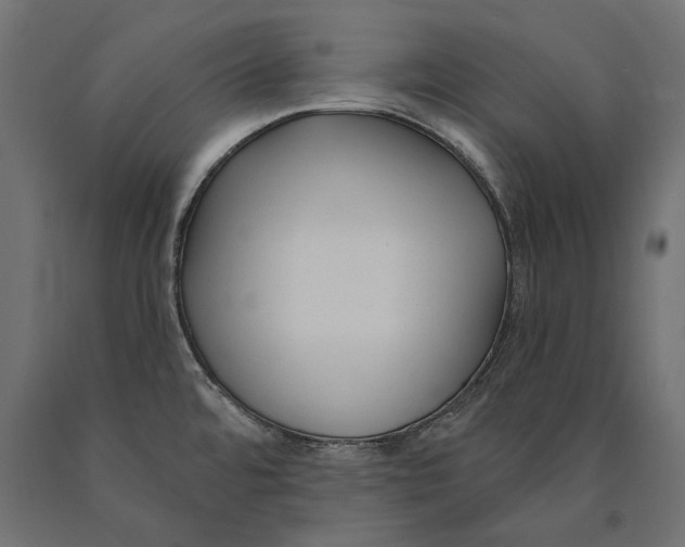 X0000090421480200708031054