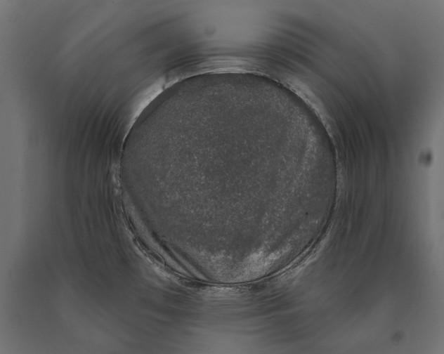 X0000090421481200708031054