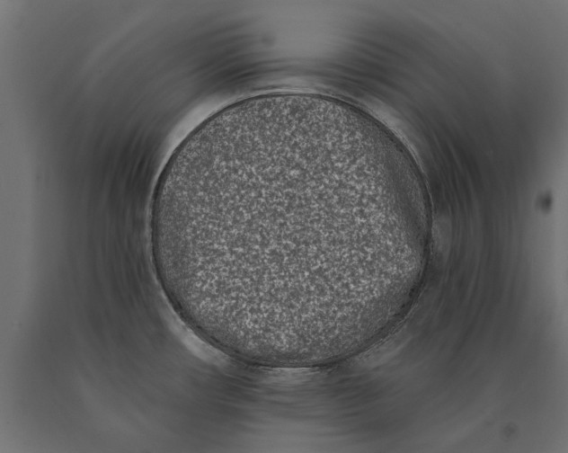 X0000090421482200708031054