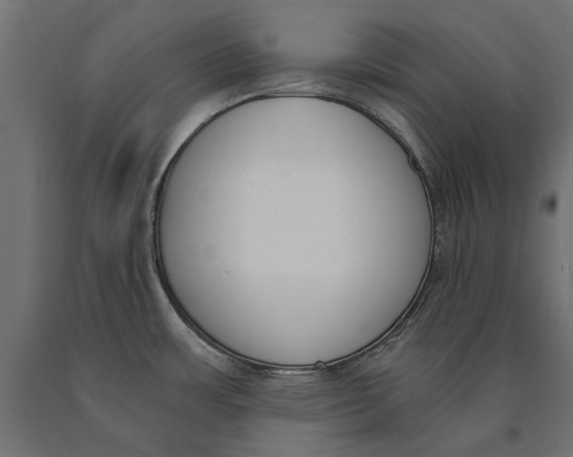 X0000090421483200708031054