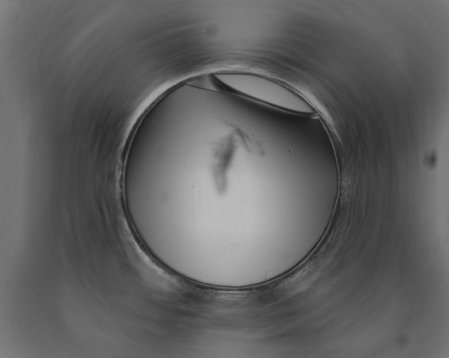 X0000090421484200708031054