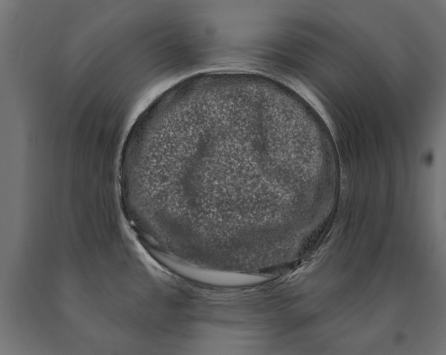 X0000090421485200708031054