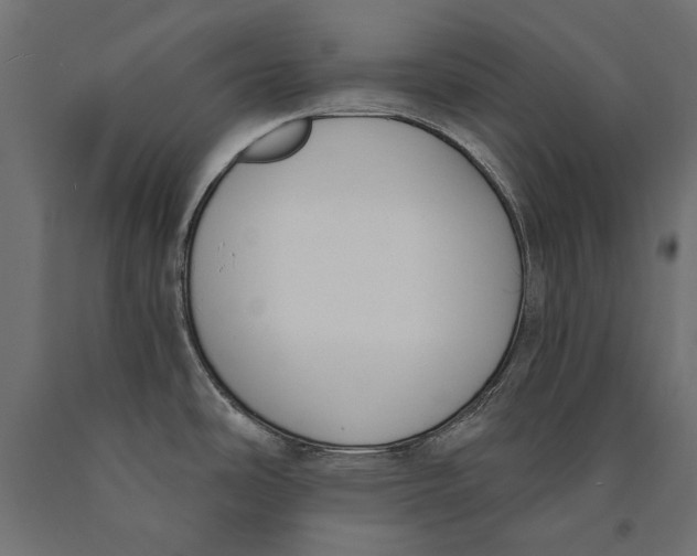 X0000090421486200708031054