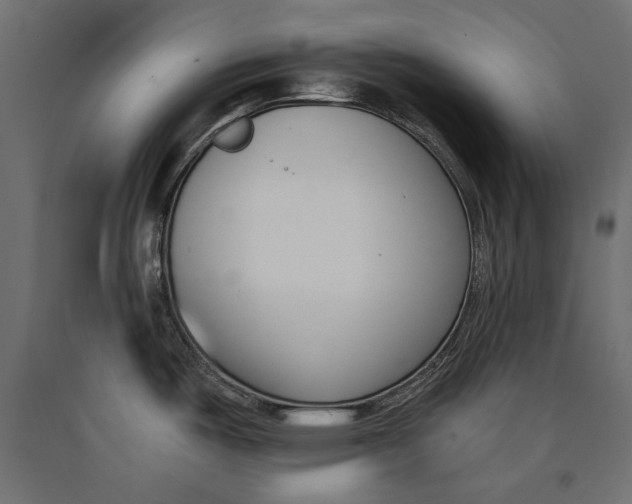 X0000090421487200708031054