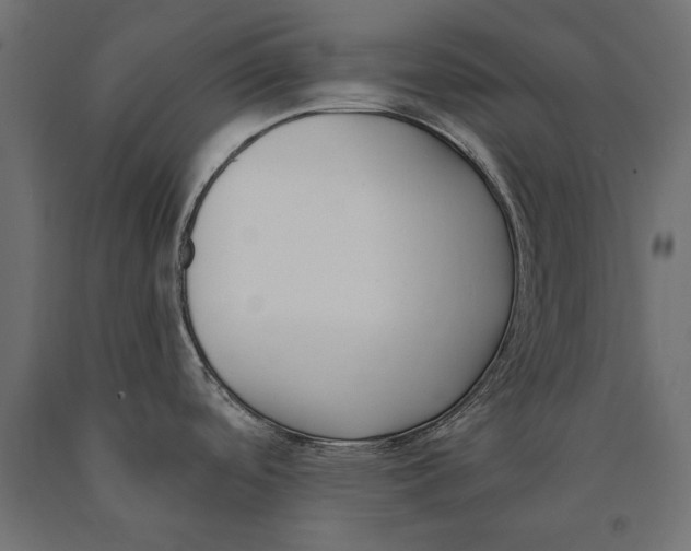 X0000090421488200708031054