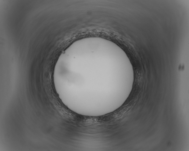 X0000090421489200708031053