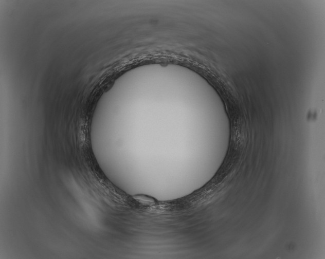 X0000090421490200708031053