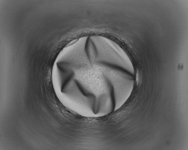 X0000090421492200708031053