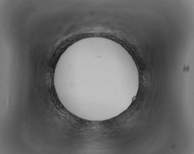 X0000090421493200708031053