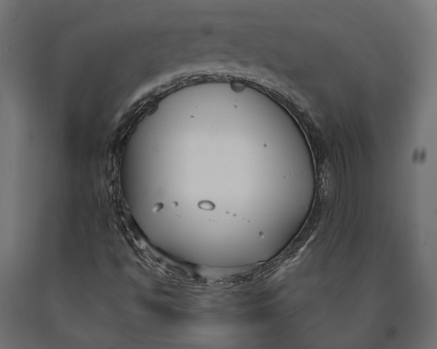 X0000090421494200708031053