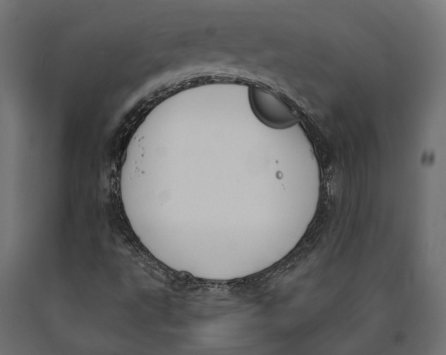 X0000090421495200708031053