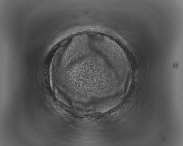 X0000090421496200708031053