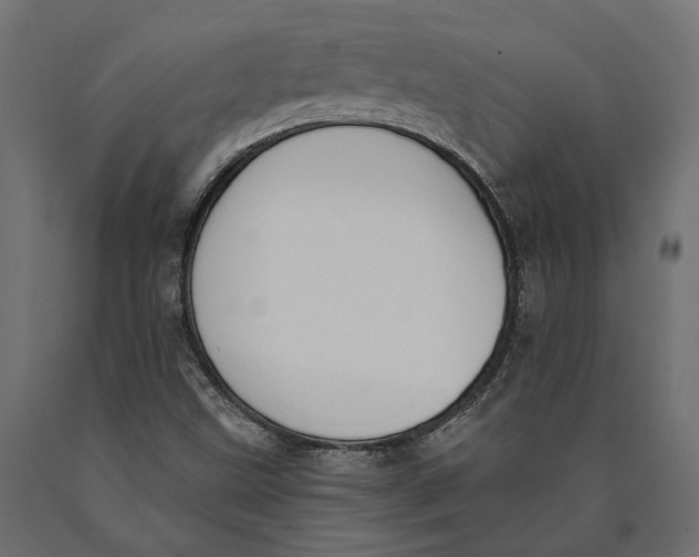 X0000090421499200708031053