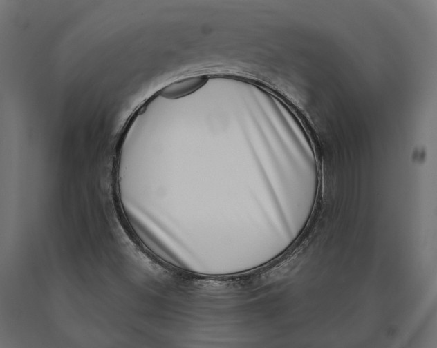 X0000090421500200708031053