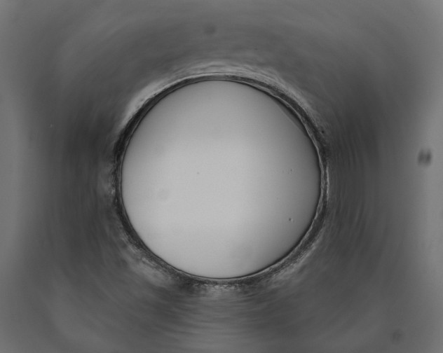 X0000090421501200708031053